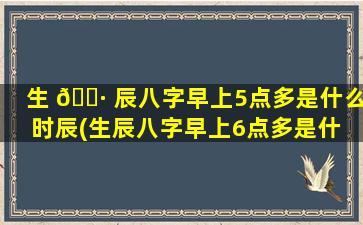生 🌷 辰八字早上5点多是什么时辰(生辰八字早上6点多是什 🦈 么时辰)